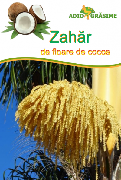 Zahar de floare de cocos 1000