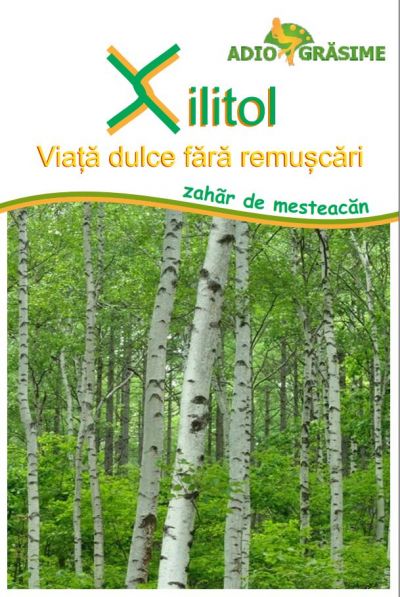 Xilitol - zahar de mesteacan ( Xylitol) 500g