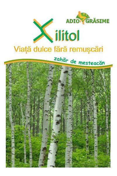 Xilitol - zahar de mesteacan ( Xylitol) 2000g